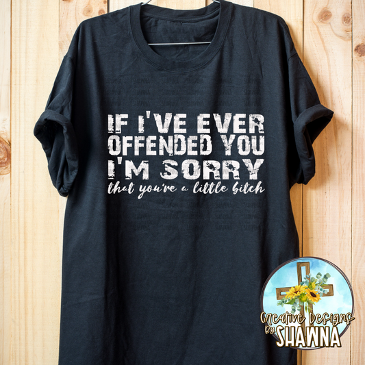 If I've Ever Offended You